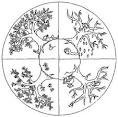 mandalas para colorear y despertar la imaginacion